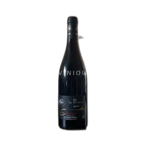Vallée de la Loire Chinon Domaine Jean-Maurice Raffault Les Picasses 2020