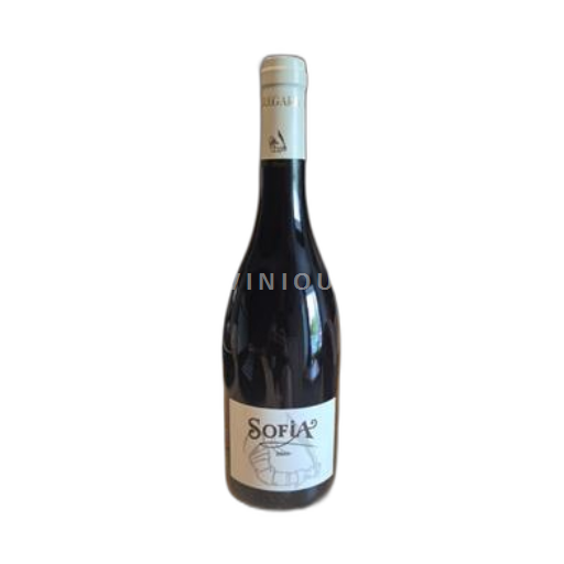 Linguadoca e Rossiglione Paese d'Oc Domaine La Vernazobre 2011