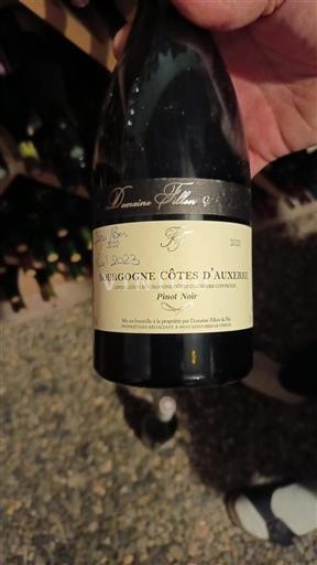 Burgundy Burgundy Côtes d'Auxerre Domaine Fillon 2020