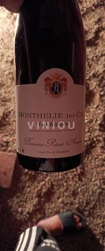 Burgundija Ni doloceno Premier Cru Domaine Potinet-Ampeau Les Riottes Neleten.