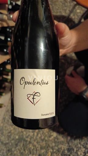 Alsácia Não especificado Domaine FLECK Opulentus 2018