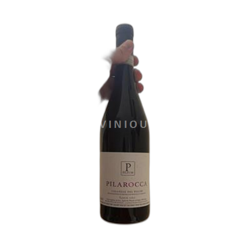 Vin Rouge sec Pilarocca Pileum 2020 Italie Latium Cesanese del Piglio DOC