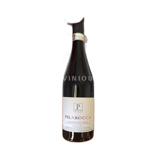 Latium Cesanese del Piglio Pileum Pilarocca 2020