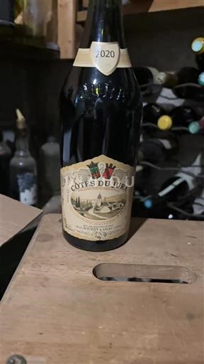 Jura Côtes du Jura Jean Bourdy 2020