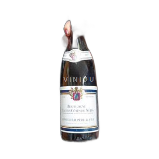 Borgogna Hautes Côtes de Nuits Dufouleur Père & Fils 2015