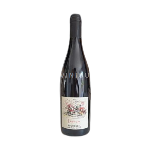 Vallée de la Loire Bourgueil Lamé Delisle Boucard Déchaînée 2022