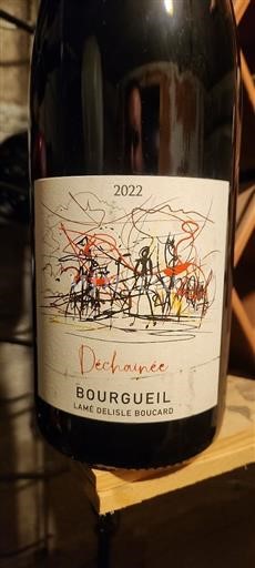 Vallée de la Loire Bourgueil Lamé Delisle Boucard Déchaînée 2022