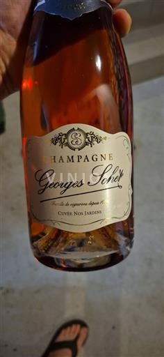 Champagne Georges Sohet Nos Jardins Senza annata