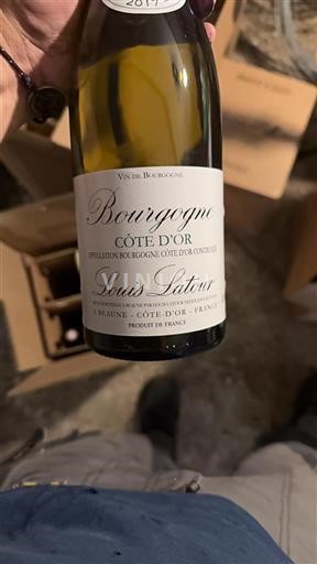 Burgundsko Burgundsko Côte d'Or Louis Latour Côte d'Or 2017