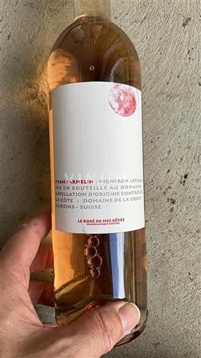 Vaud La Côte DOC Domaine La Croix Le Rosé de Mes Rêves Senza annata