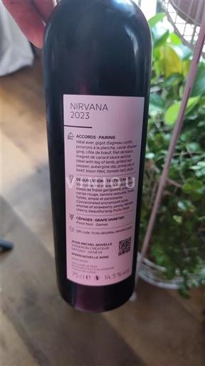 Ginevra Non specificato Jean-Michel Novelle Nirvana 2023
