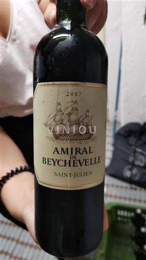 Bordeaux Saint-Julien Beychevelle Amiral 2007