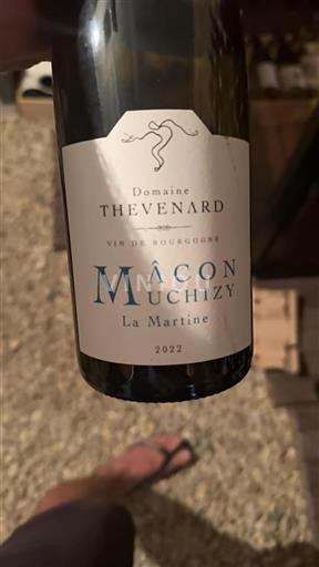 Burgundy Mâcon and Mâcon-Villages Domaine Thevenard La Martine 2022