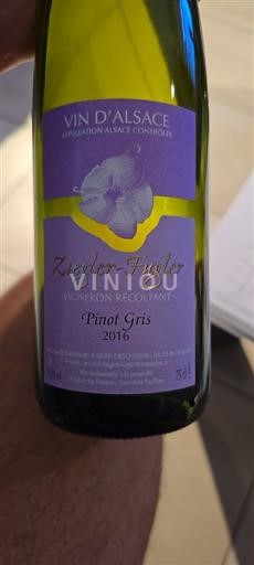 Alsazia Pinot grigio Ziegler-Fugler Pinot Gris 2016
