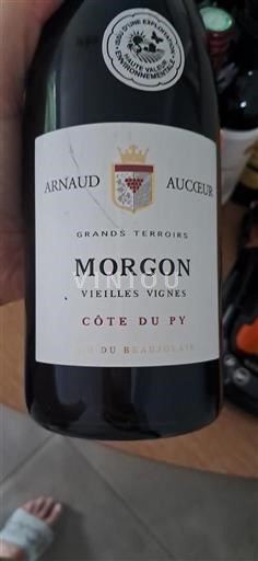 Beaujolais Morgon Arnaud Aucoeur Côte du Py 2021