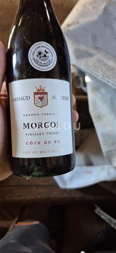 Beaujolais Morgon Arnaud Aucoeur Côte du Py 2021