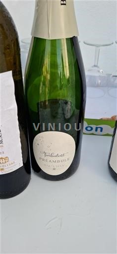Loire Valley Unspecified Sauvion Turbulent Préambule Non-Vintage