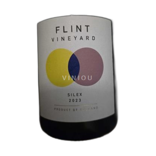 Dorset Flint Silex 2023