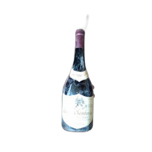 Borgogna Gevrey-Chambertin Premier Cru Philippe Leclerc Les Cazetiers 2017