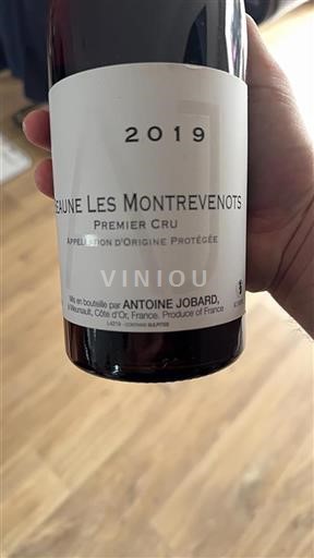 Bourgogne Beaune Premier Cru Antoine Jobard Les Montrevenots 2019