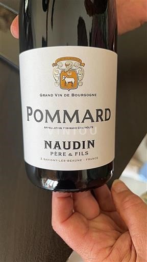 Borgonha Pommard Naudin Père & Fils 2023