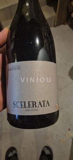 Roussillon Côtes-du-Roussillon Domaine Sol Payré Scelerata Âme Noire 2021