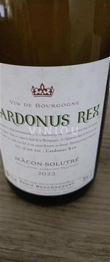 Burgundy Mâcon and Mâcon-Villages Cardonus Rex 2022