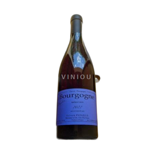 Borgogna Sylvain Pataille Bourgogne 2022