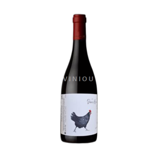 Vallée de la Loire Touraine Clos du Porteau Dame Noire 2022