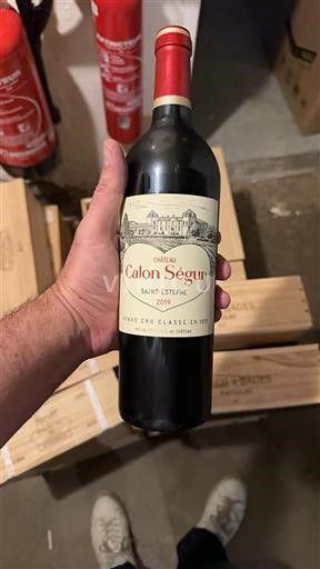 Bordeaux Saint-Estèphe Grand Cru Calon Ségur 2019