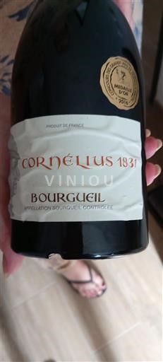Vallée de la Loire Bourgueil Cornélius 1831 Non Millésimé