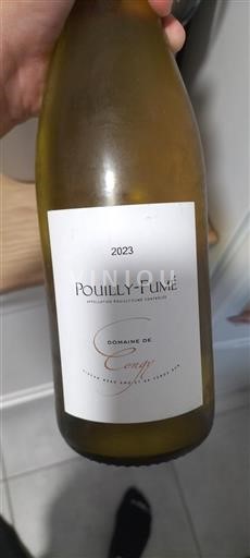 Valle della Loira Pouilly-fumé Domaine Congy 2023