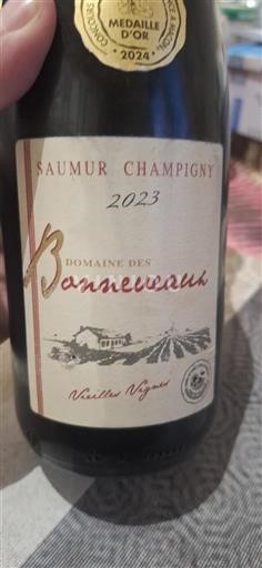 Vallée de la Loire Saumur-champigny Domaine Des Bonneveaux Vieilles Vignes 2023
