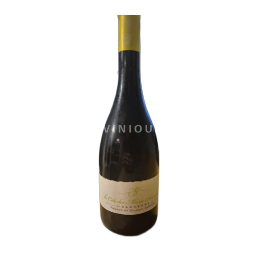 Valle della Loira Sancerre Franck et Sylvain Godon La Côte des Monts Damnés Senza annata