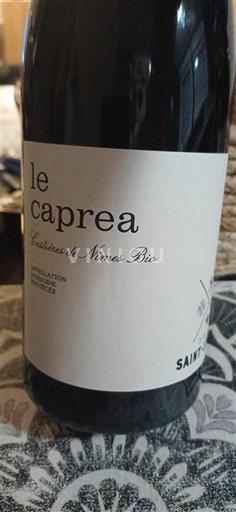 Valle del Rodano Costières di Nîmes Le Caprea Senza annata
