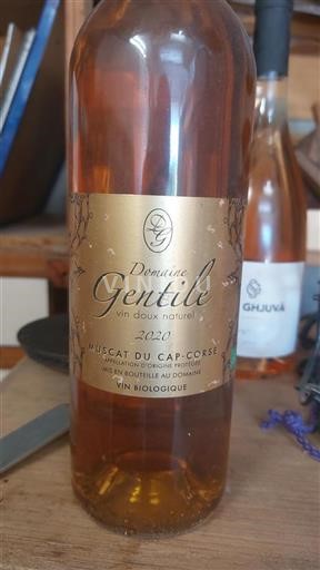 Corsica Muscat du Cap Corse Domaine Gentile Vin Doux Naturel 2020