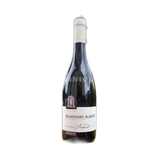 Bourgogne Bourgogne-aligoté Jean-Philippe Fichet 2021