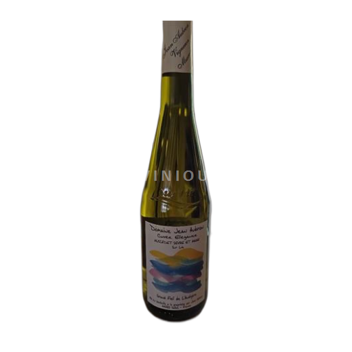 Valle della Loira Muscadet Sèvre et Maine Domaine Jean Aubron Élégance Senza annata