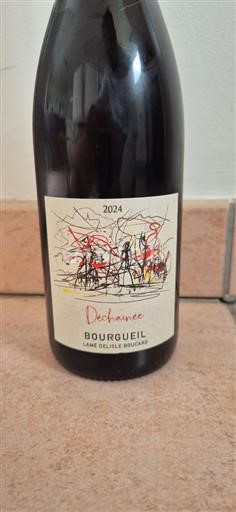Vallée de la Loire Bourgueil Lamé Delisle Boucard Déchaînée 2024