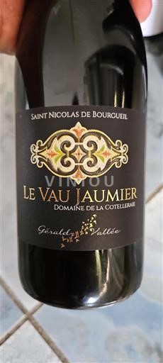 Loirevallei Saint-Nicolas-De-Bourgueil Domaine La Cotelleraie Le Vau Jaumier Niet-geïntegreerd