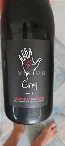 Vallée de la Loire Saumur-champigny Les Cinq Non Millésimé