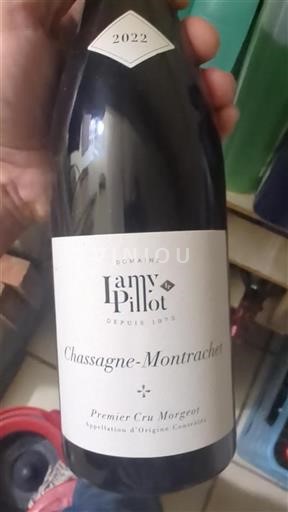 Burgundsko Chassagne-montrachet Premier Cru Domaine Lamy-Pillot 2022