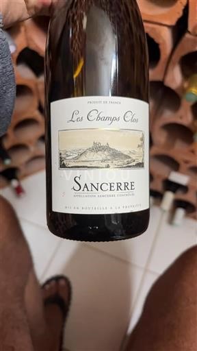 Valle del Loira Sancerre Les Champs Clos 2019