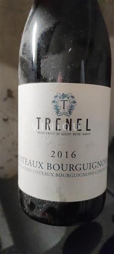 Burgundy Coteaux Bourguignons Trenel 2016