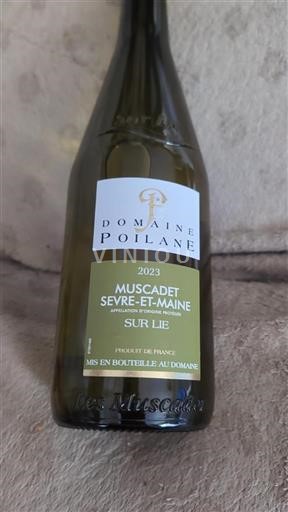 Valle della Loira Muscadet Sèvre et Maine Domaine Poilane 2023