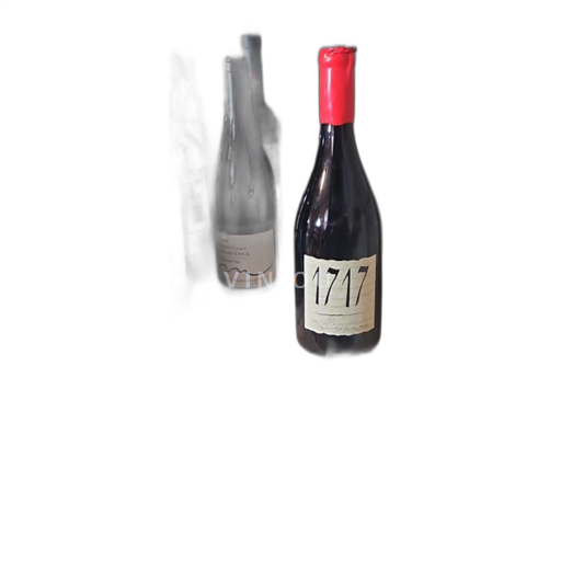 Rhône-dalen Vacqueyras Arnoux et Fils 1717 2019