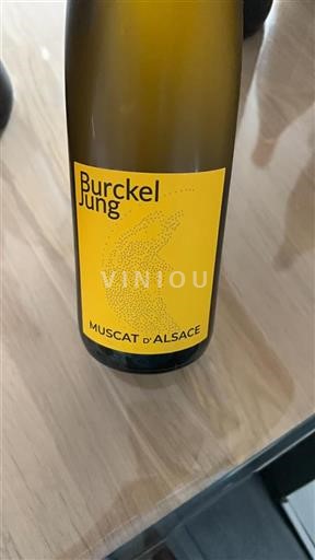 Elsass Nicht spezifiziert Burckel Jung 2022