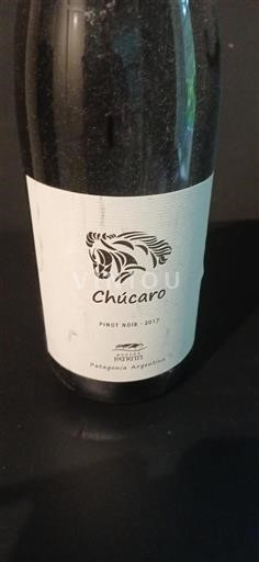 Patagonien Nicht spezifiziert Bodega Patritti Chúcaro 2017