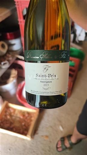 Bourgogne Saint-Bris Domaine Fillon & Fils Sauvignon 2023