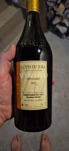 Jura Côtes-du-jura Domaine Horde Poulsard 2022